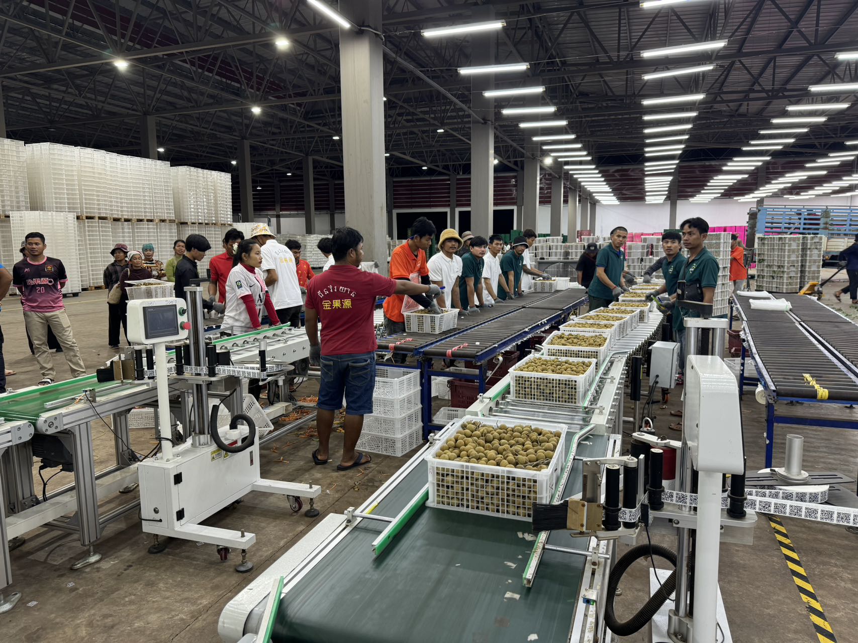 微信图片_20241021142810 微信图片_20241021142810