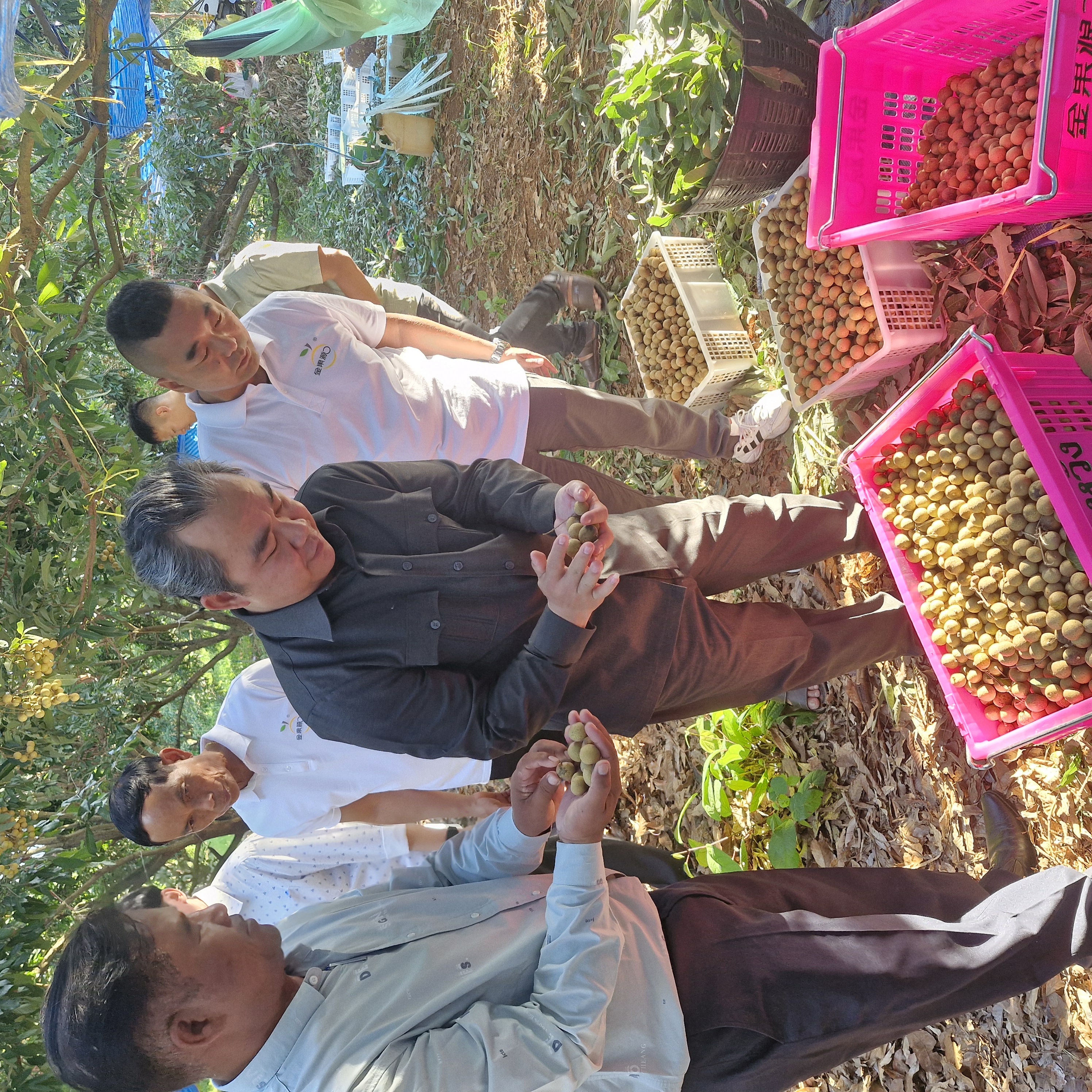 微信图片_20241129145313 微信图片_20241129145313