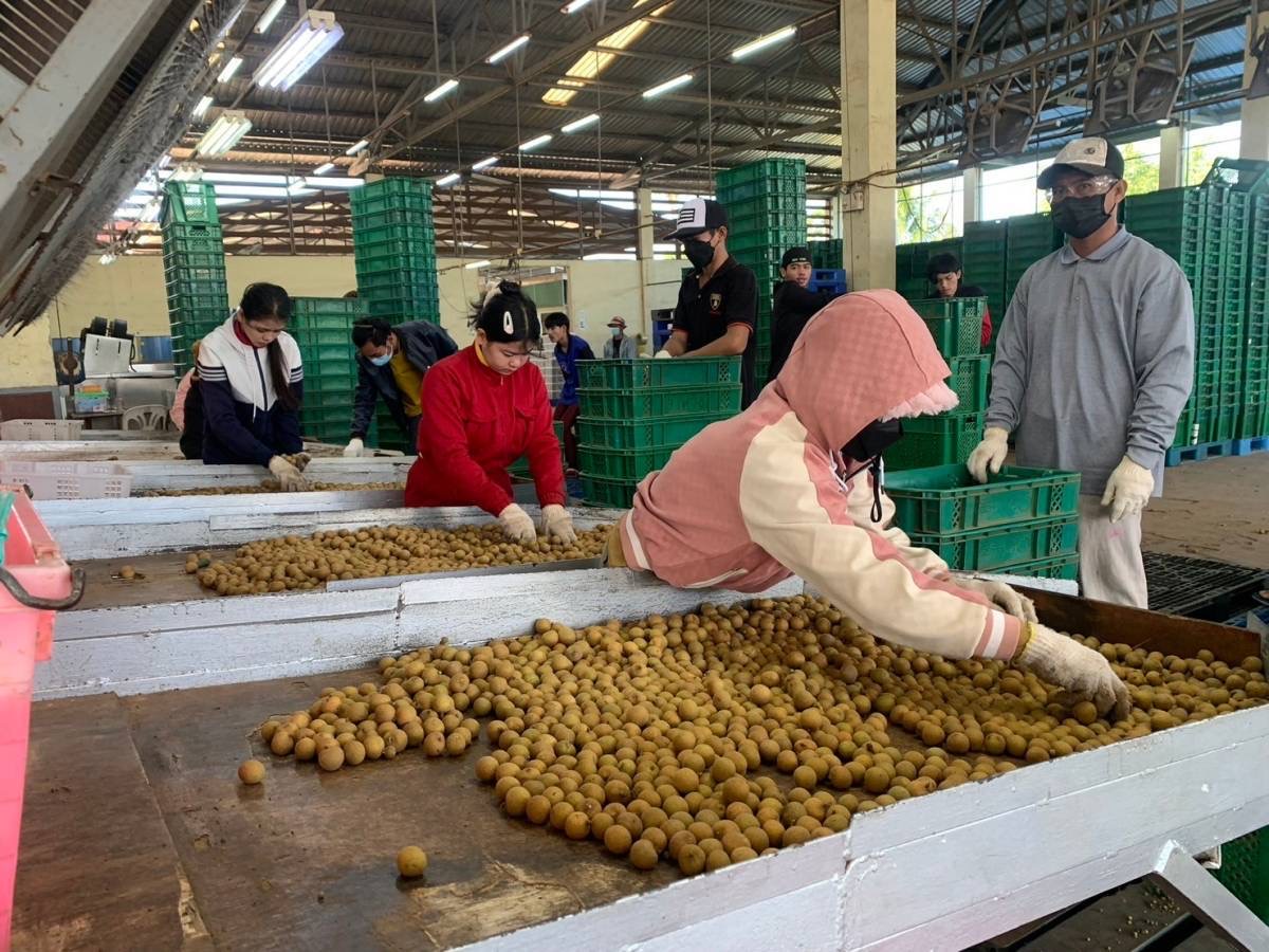 微信图片_20240218151110 微信图片_20240218151110