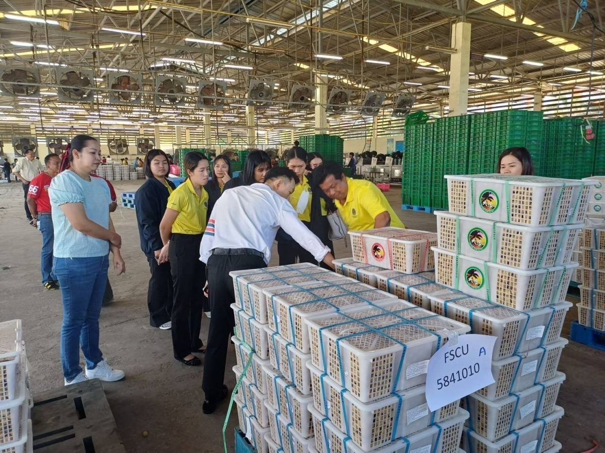 微信图片_20240218151135 微信图片_20240218151135