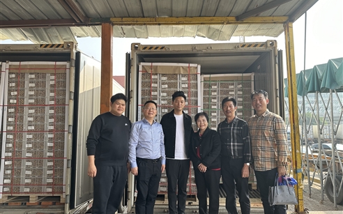 从细节入手 严把质量关 ——BET9九州app网址源创始人黄正权一行赴深圳蛇口码头检验龙眼质量