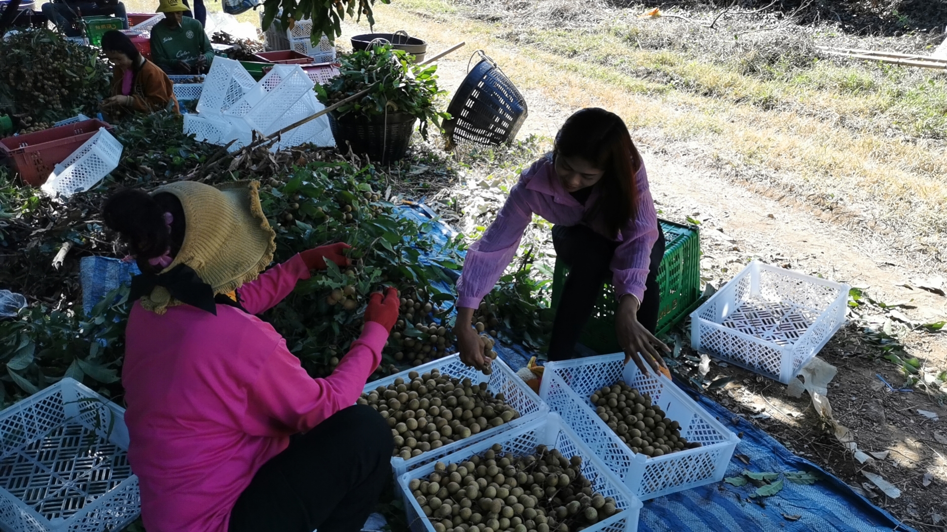 微信图片_20240109090655 微信图片_20240109090655