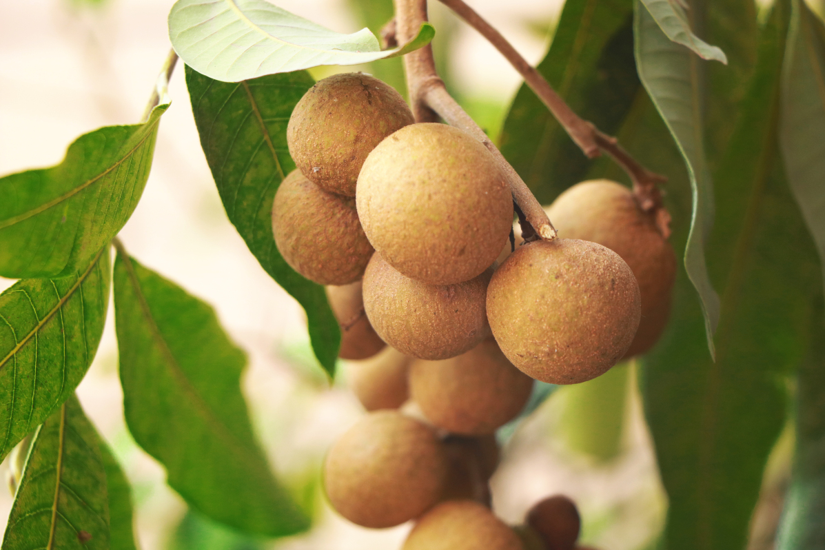 微信图片_20240515144738 微信图片_20240515144738