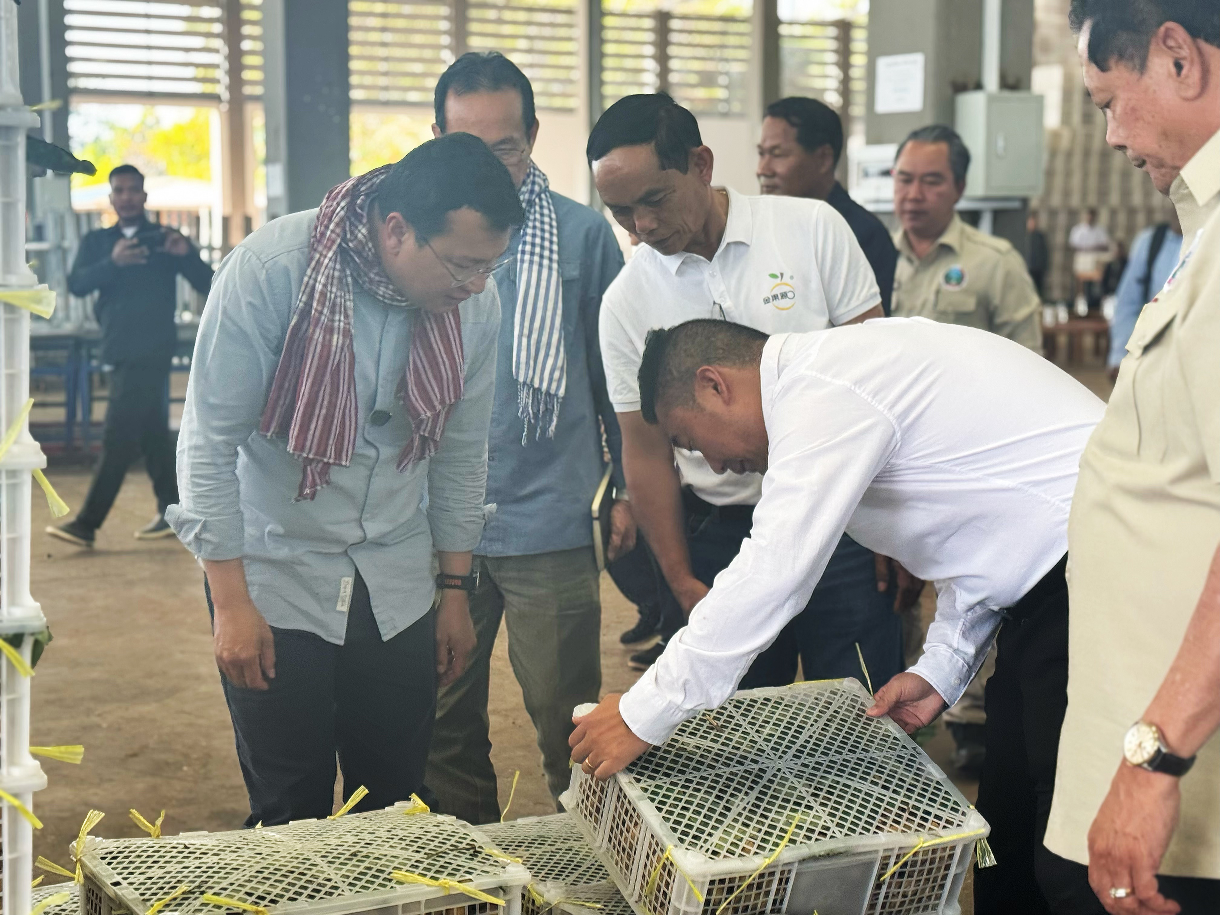 8a632a4abd7ad3d02a83742110917a8