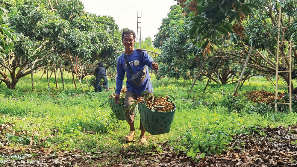 图片.png1 图片.png1