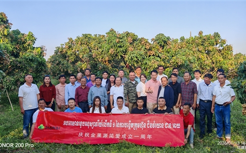 迎春节、庆周年、谋发展——BET9九州app网址源执行董事艾中华赴柬埔寨一线督导龙眼生产